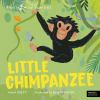 Little_chimpanzee