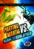 Praying_mantis_vs__black_widow_spider