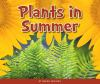Plants_in_summer