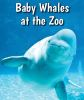 Baby_whales_at_the_zoo