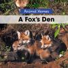 A_fox_s_den