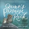 Quinn_s_promise_rock