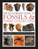 The_illustrated_guide_to_fossils___fossil_collecting