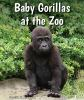 Baby_gorillas_at_the_zoo