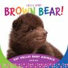 Hello_baby_brown_bear_