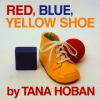 Red__blue__yellow_shoe