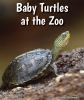 Baby_turtles_at_the_zoo