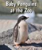 Baby_penguins_at_the_zoo