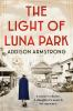 The_light_of_Luna_Park