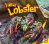 I_am_a_lobster