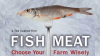 Fishmeat__Choose_Your_Farm_Wisely