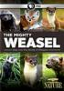 The_mighty_weasel