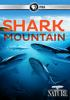 Shark_mountain
