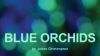 Blue_Orchids