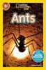 Ants_