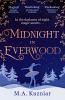Midnight_in_Everwood