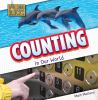 Counting_in_our_world