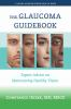 The_glaucoma_guidebook