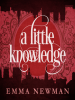 A_Little_Knowledge