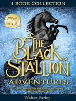 The_Black_Stallion_Adventures