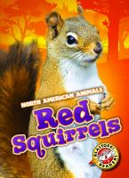 Red_squirrels