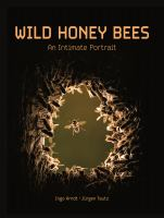 Wild_honey_bees