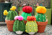 Crocheted_Cacti_Cozies
