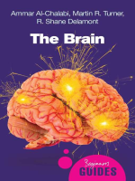 The_Brain__a_Beginner_s_Guide