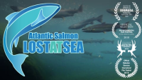Atlantic_Salmon__Lost_at_Sea