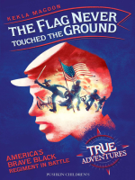 The_Flag_Never_Touched_the_Ground