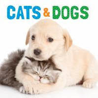 Cats___dogs