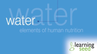 Elements_Of_Human_Nutrition__Water