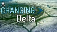 A_changing_delta