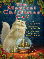The_Magical_Christmas_Cat
