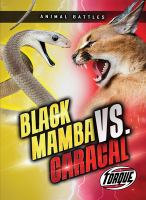 Black_mamba_vs__caracal