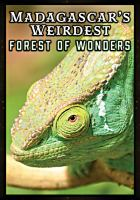 Madagascar_s_weirdest_forest_of_wonder