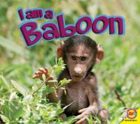 I_am_a_baboon