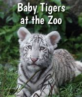 Baby_tigers_at_the_zoo