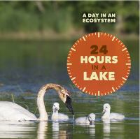 24_hours_in_a_lake