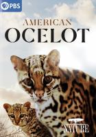 American_ocelot