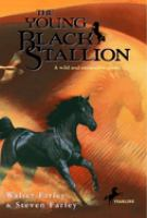 The_young_black_stallion