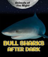Bull_sharks_after_dark