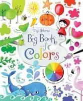 The_Usborne_big_book_of_colors