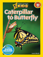 Caterpillar_to_Butterfly