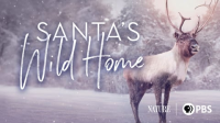 Santa_s_Wild_Home