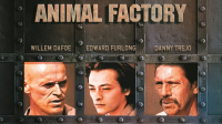 Animal_Factory