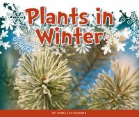 Plants_in_winter