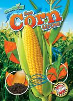 See_corn_grow