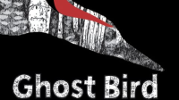 Ghost_Bird