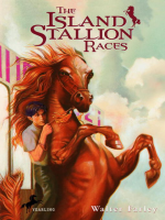The_Island_Stallion_Races